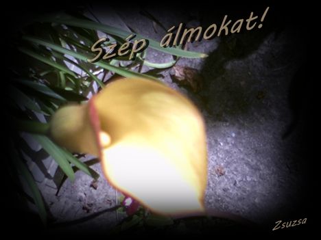 Szép estét!