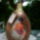 Uvegeztem_1_1185604_6073_t
