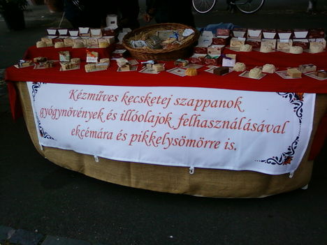 Gyöngyösi Magyarok Vására 2011.július 9