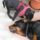 Winston_es_bibi_1186962_7814_t