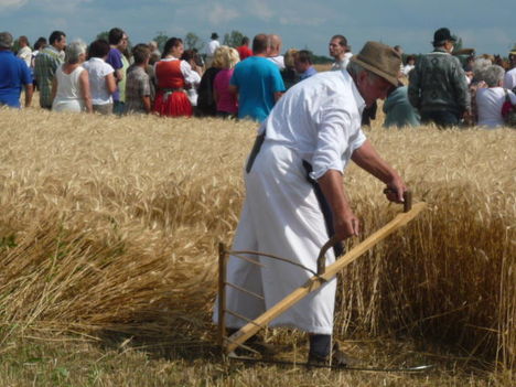 Az első kaszás