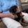 Friss__levegon_010_1188204_1982_t