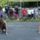 Falunap_116_1189596_5582_t