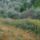 Nyar_11_1189148_5070_t
