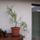 Nyar_22_1189159_4394_t
