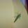 Nyar_23_1189160_2205_t