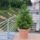 Nyar_24_1189161_2656_t