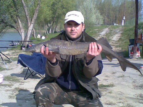 2008.ápr.Bázis horgásztó.4,00kg