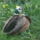 A_ruca_szemezik_velem_1108359_3375_t