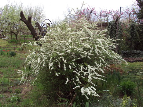 kertünkből 2011