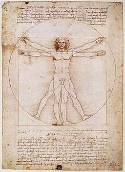 Leonardo da Vinci  Vitruvian tanulmány
