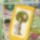 Minta_12-001_1108094_9167_t