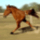 Mustang_1108809_1151_t
