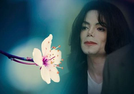 MJ 3