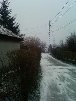 SP_A1565