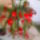 Borbély Zoltánné Marcsi virágai