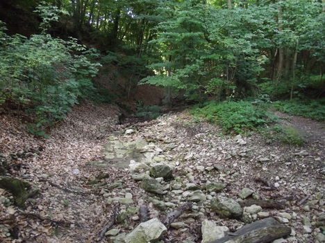 DSCF0692