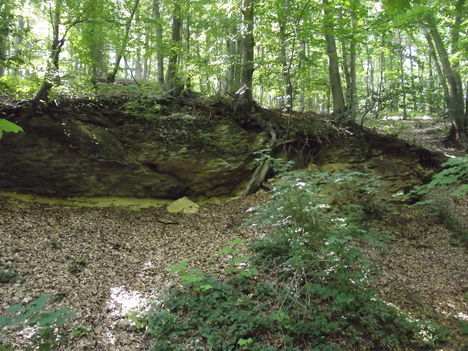 DSCF0694