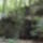 Dscf0702_1192423_1377_t