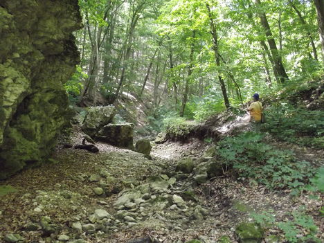 DSCF0704