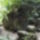Dscf0706_1192462_7111_t
