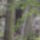 Dscf0709_1192477_2638_t