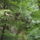 Dscf0712_1192436_2446_t