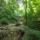 Dscf0714_1192472_5319_t