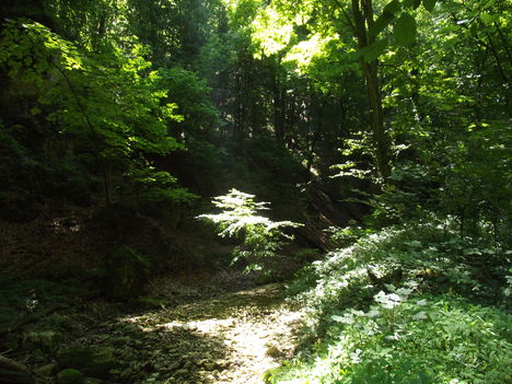 DSCF0716