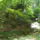 Dscf0717_1192449_7040_t