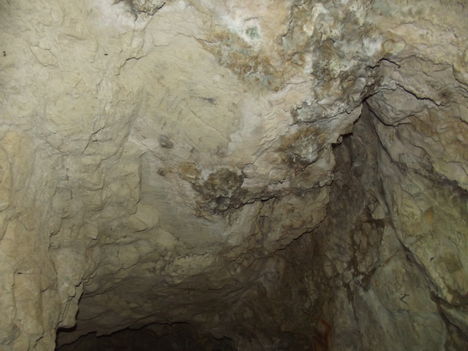 DSCF0721