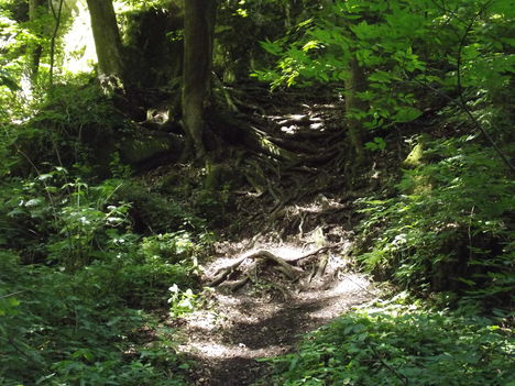 DSCF0723