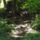 Dscf0723_1192434_9813_t