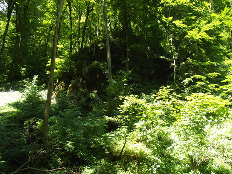 DSCF0727