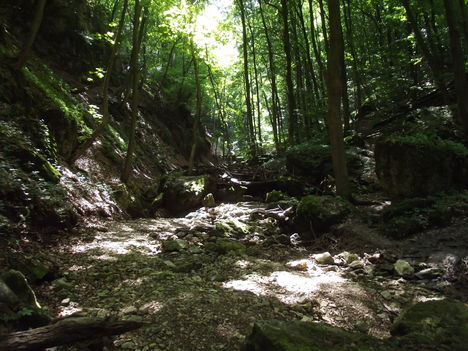 DSCF0731