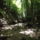 Dscf0731_1192464_7844_t