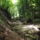 Dscf0733_1192442_4177_t