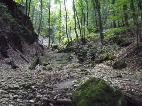 DSCF0736