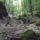 Dscf0736_1192453_8447_t