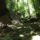 Dscf0737_1192418_1943_t