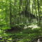 DSCF0738