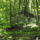 Dscf0738-001_1192575_1855_t
