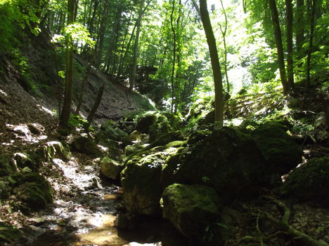 DSCF0739
