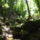 Dscf0739_1192447_7928_t