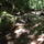 Dscf0740-001_1192551_7875_t