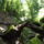 Dscf0741-001_1192572_3137_t