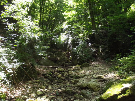 DSCF0743