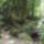 Dscf0744-001_1192564_3095_t