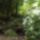 Dscf0745_1192471_1037_t