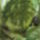 Dscf0747_1192431_6837_t